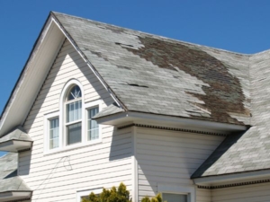 Selling a House that needs repair in Tampa, FL