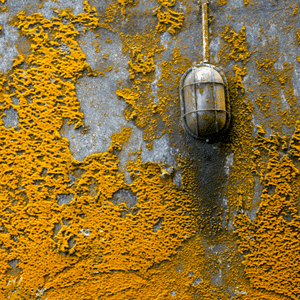 How to Sell a House With Mold