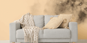 Sell House With Mold